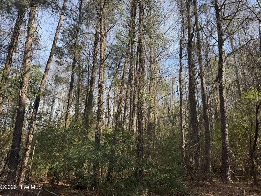 0 Butler Mill Road Bladenboro, NC 28320