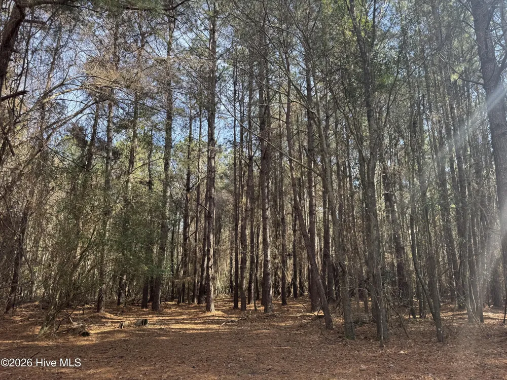 0 Butler Mill Road Bladenboro, NC 28320