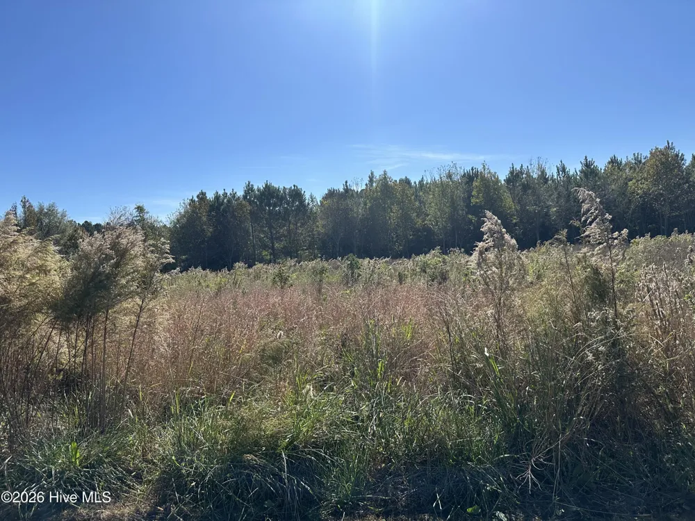 Near 18 Taylor Lane Clarendon, NC 28432