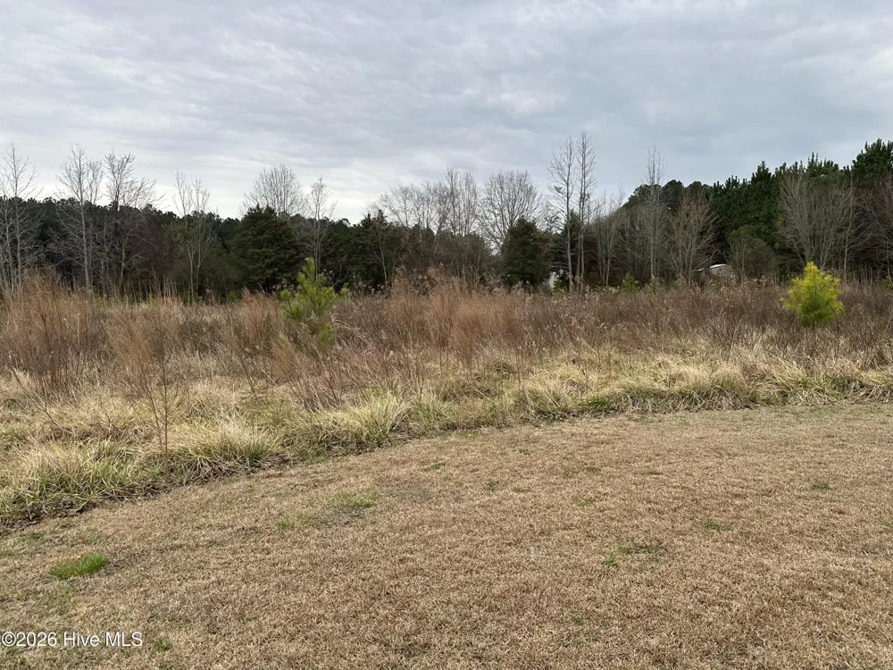 Near 18 Taylor Lane Clarendon, NC 28432