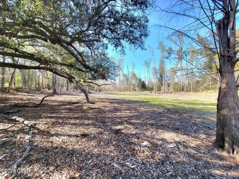 Hwy 90 Sneads, FL 32460