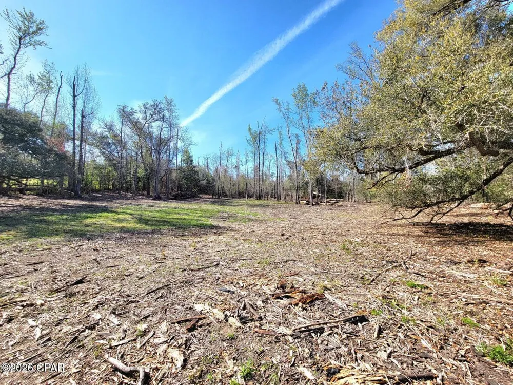 Hwy 90 Sneads, FL 32460