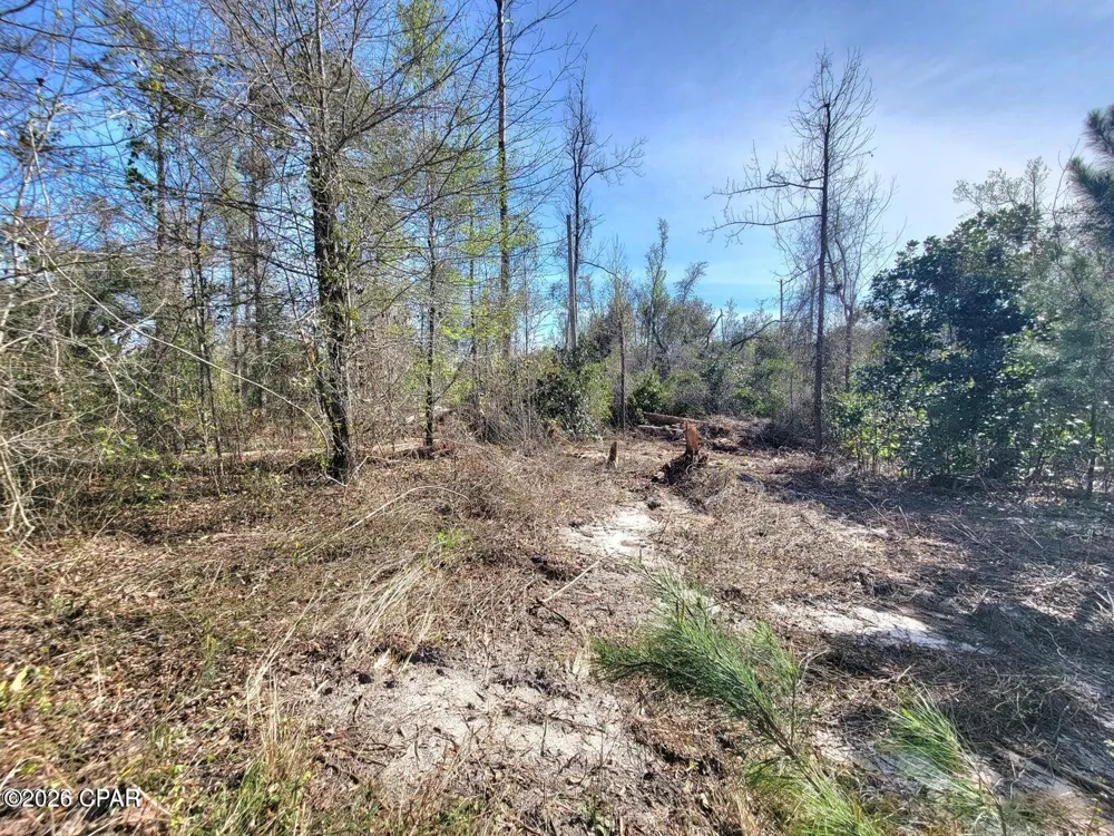 Hwy 90 Sneads, FL 32460