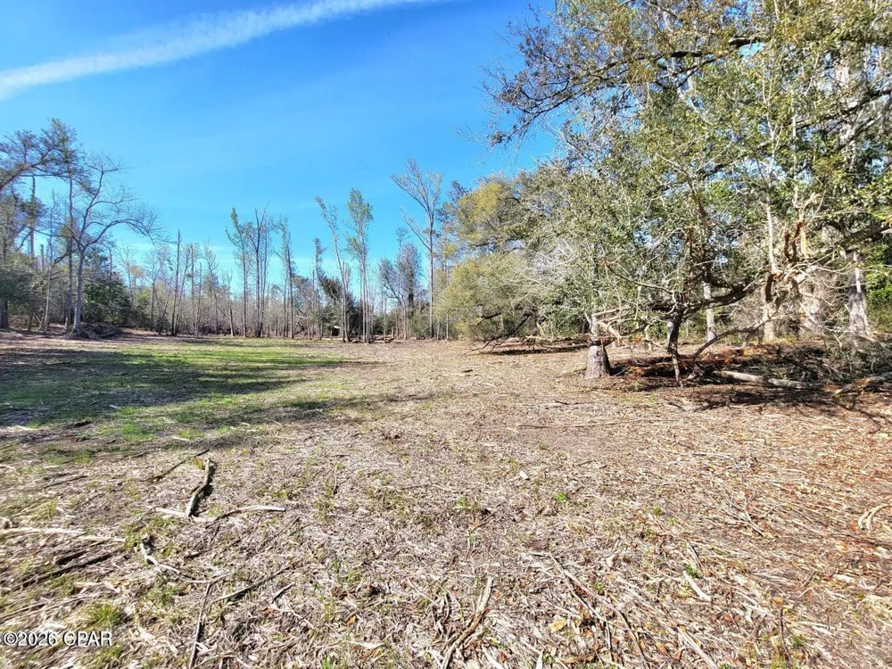 Hwy 90 Sneads, FL 32460