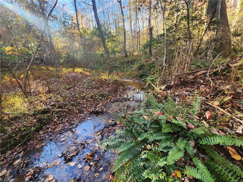 tbd Sable Avenue Mount Airy, NC 27030