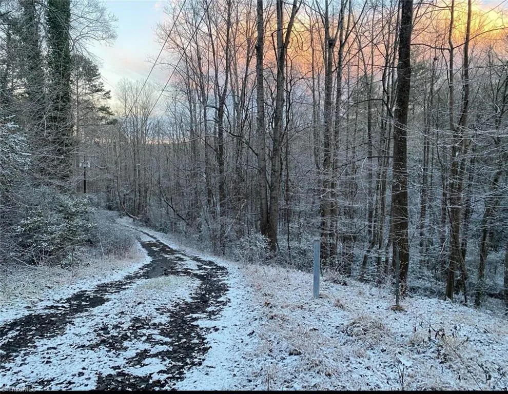 tbd Sable Avenue Mount Airy, NC 27030