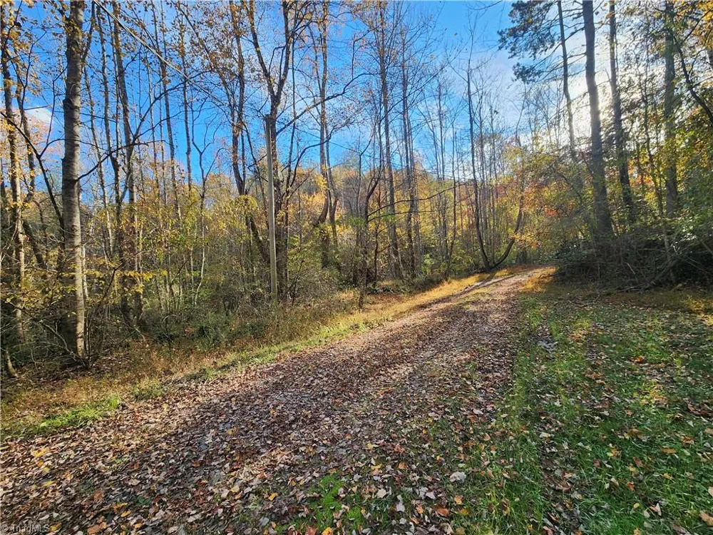 tbd Sable Avenue Mount Airy, NC 27030