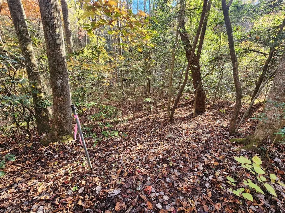 tbd Sable Avenue Mount Airy, NC 27030