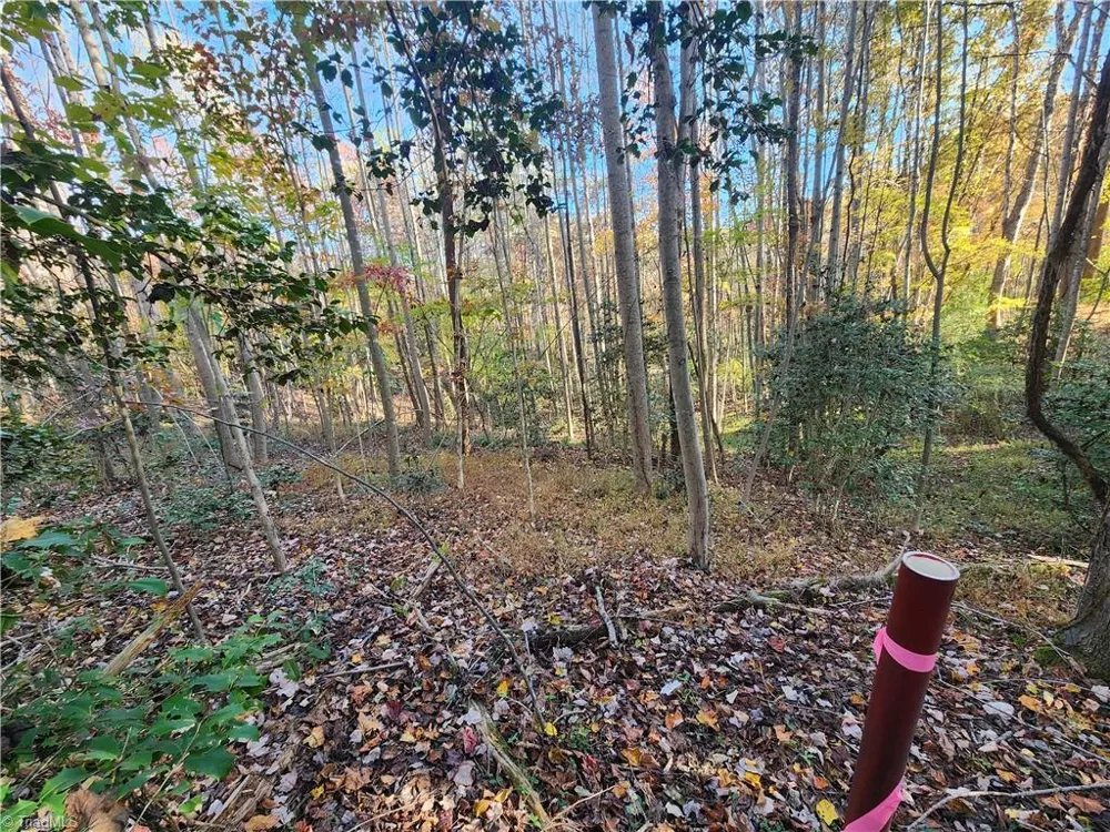 tbd Sable Avenue Mount Airy, NC 27030