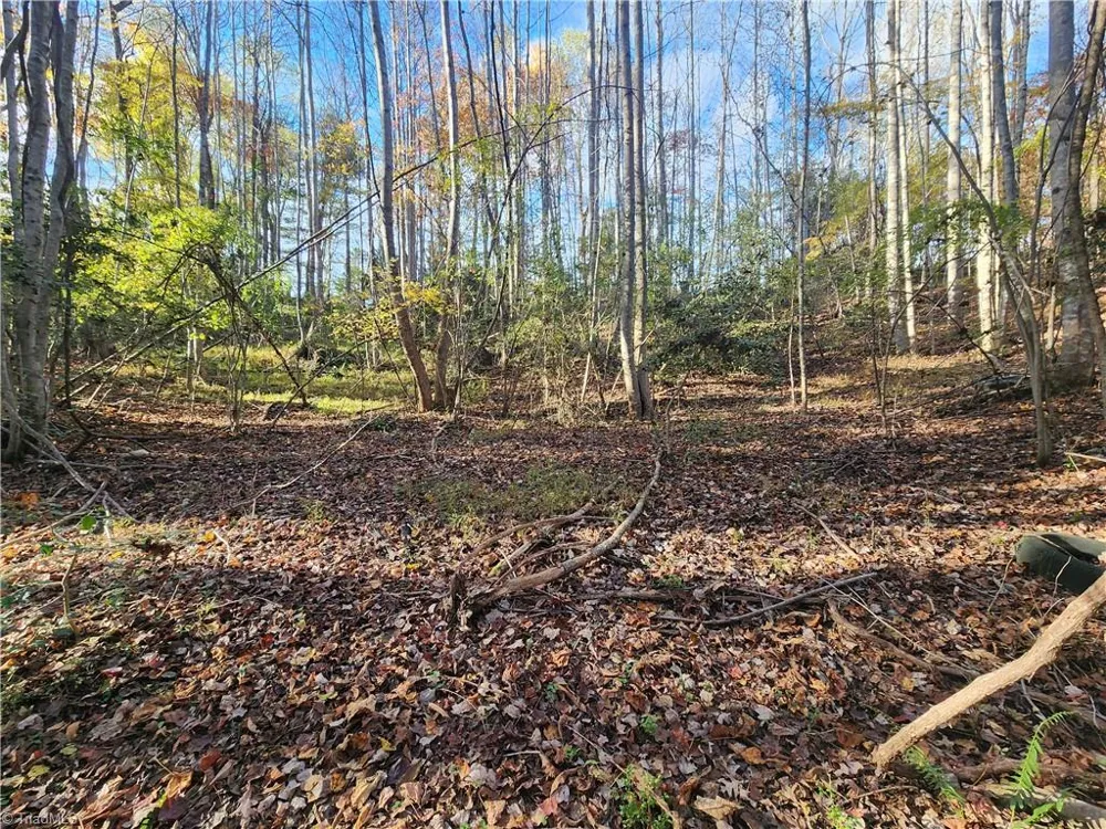 tbd Sable Avenue Mount Airy, NC 27030