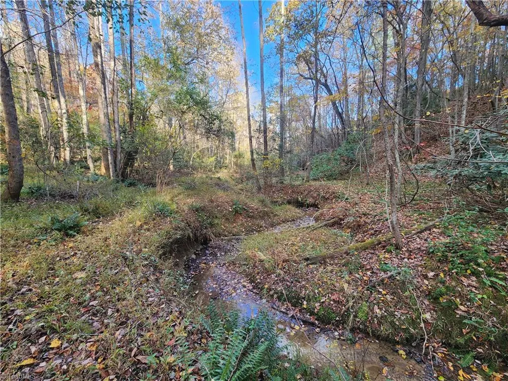 tbd Sable Avenue Mount Airy, NC 27030
