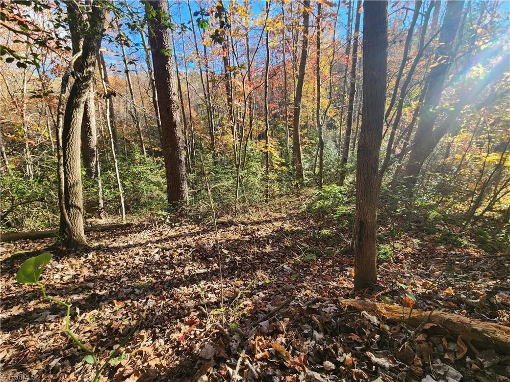 tbd Sable Avenue Mount Airy, NC 27030