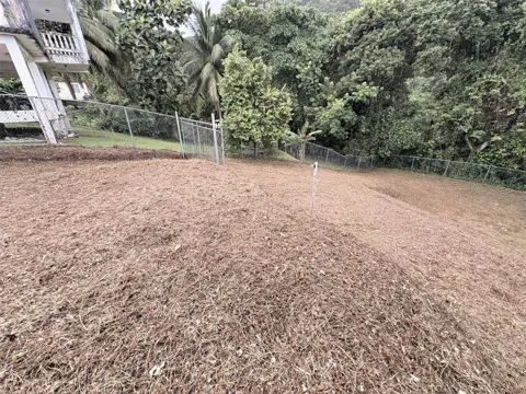 BO PITAHAYA