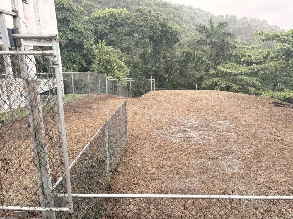 BO PITAHAYA Luquillo, PR 00773