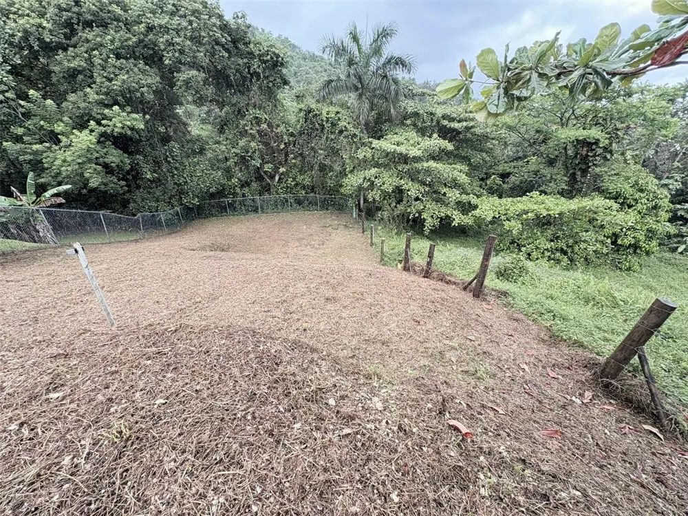 BO PITAHAYA Luquillo, PR 00773