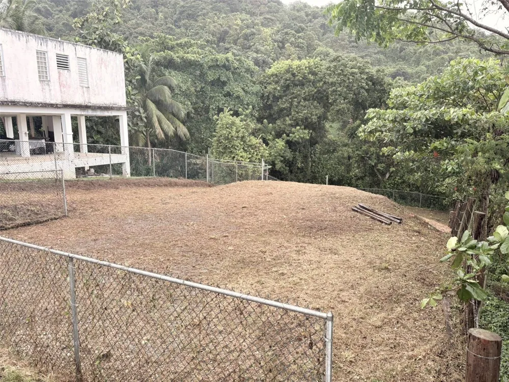 BO PITAHAYA Luquillo, PR 00773