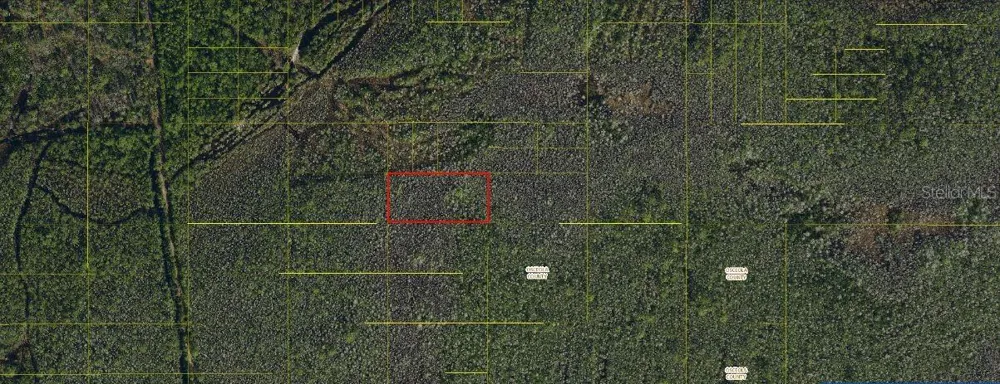 HOLOPAW GROVES ROAD St Cloud, FL 34771