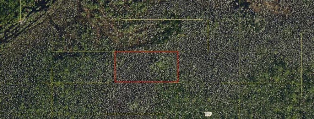 HOLOPAW GROVES ROAD St Cloud, FL 34771
