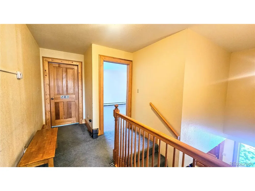 46 Camino Baca Grande Crestone, CO 81131