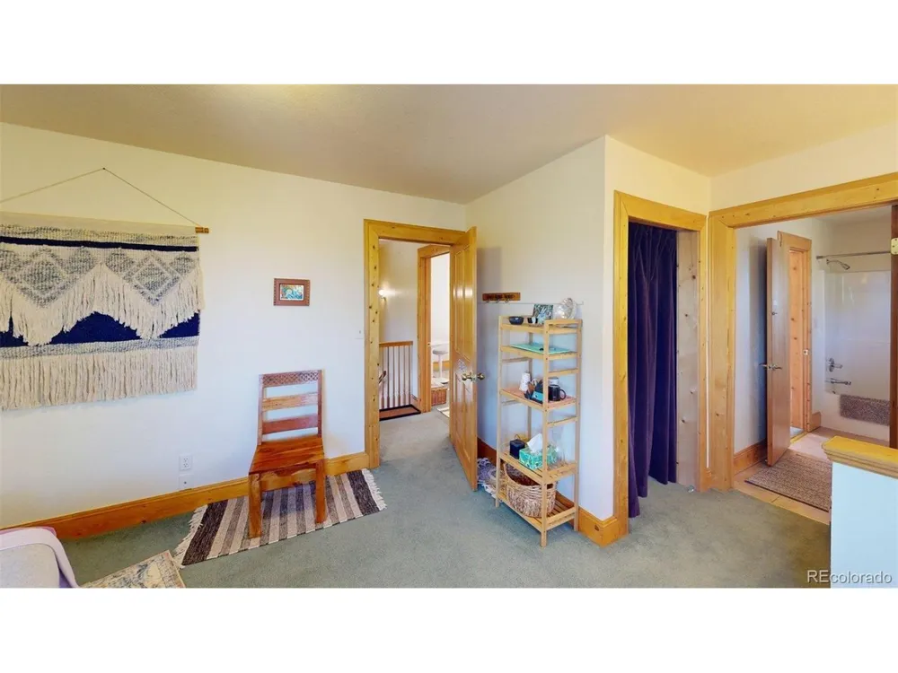 46 Camino Baca Grande Crestone, CO 81131