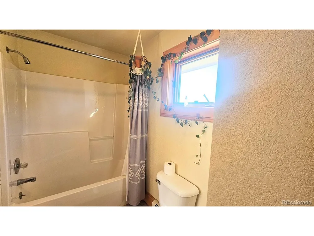 46 Camino Baca Grande Crestone, CO 81131