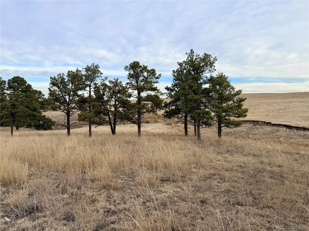 6 County Road 122 Ramah, CO 80832