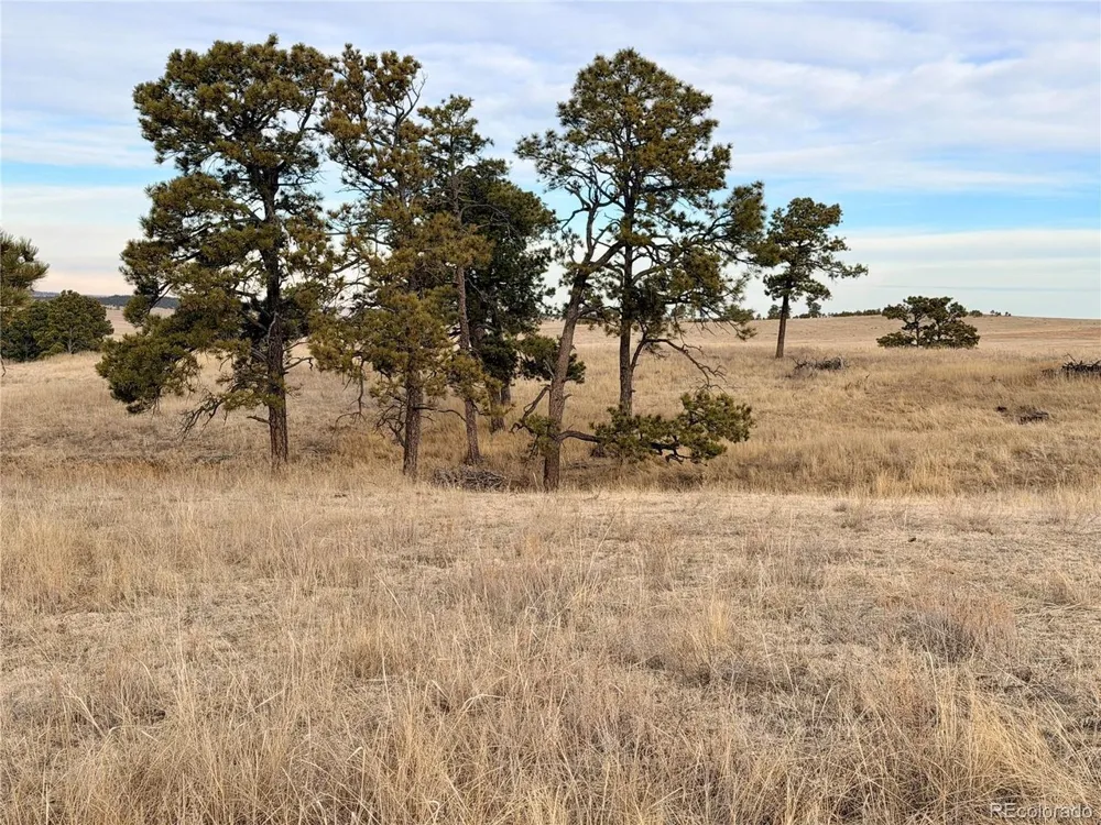 6 County Road 122 Ramah, CO 80832
