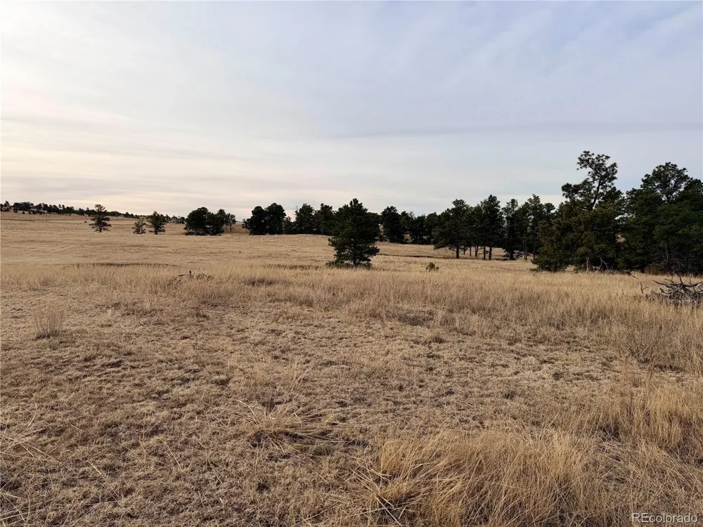 6 County Road 122 Ramah, CO 80832