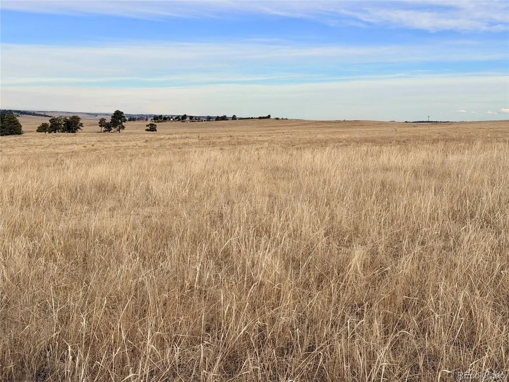 7 County Road 122 Ramah, CO 80832