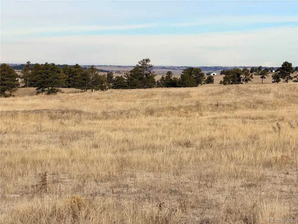 7 County Road 122 Ramah, CO 80832