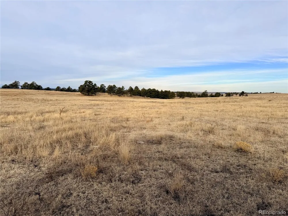 7 County Road 122 Ramah, CO 80832