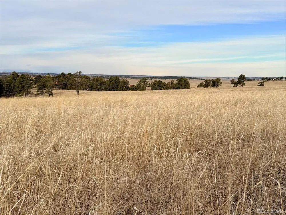 7 County Road 122 Ramah, CO 80832