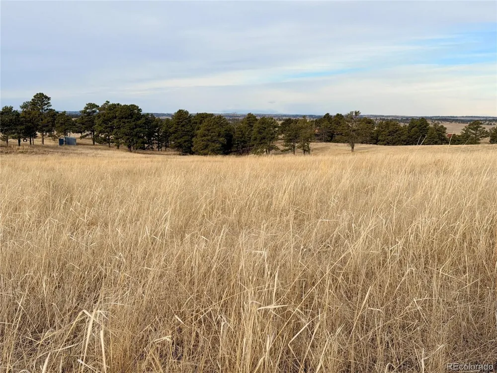 7 County Road 122 Ramah, CO 80832