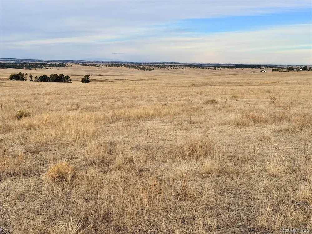 7 County Road 122 Ramah, CO 80832