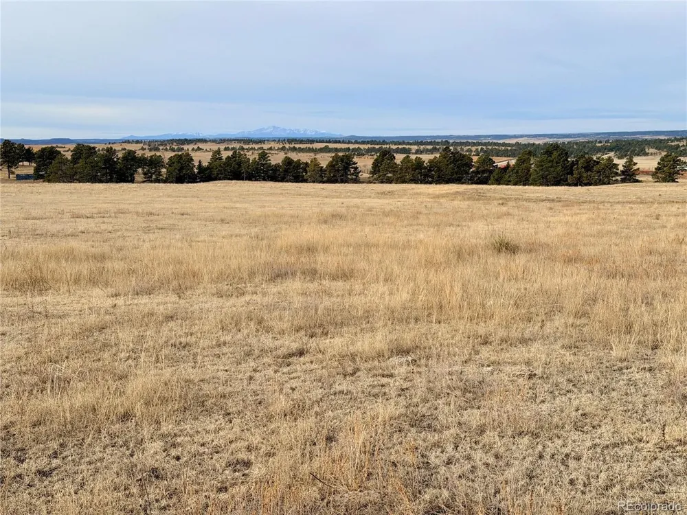 7 County Road 122 Ramah, CO 80832