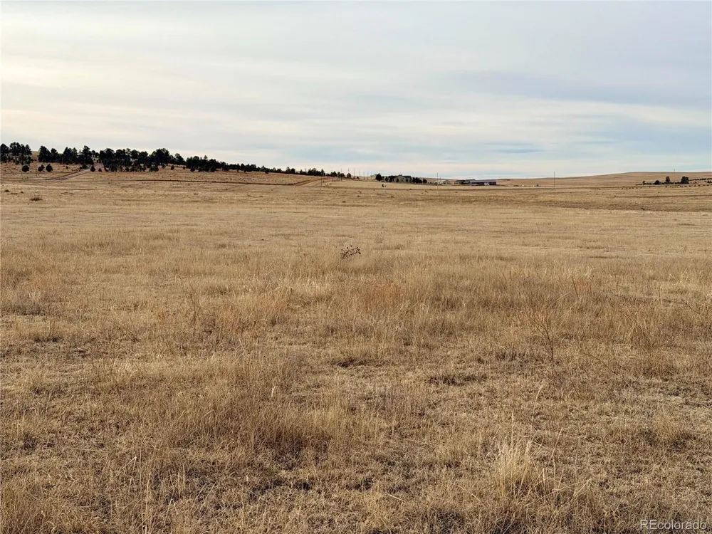 7 County Road 122 Ramah, CO 80832