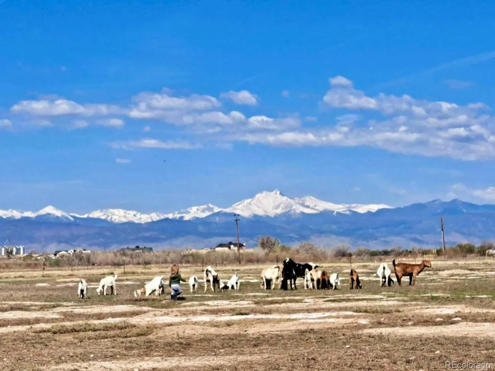 2832 County Road 20 Longmont, CO 80504