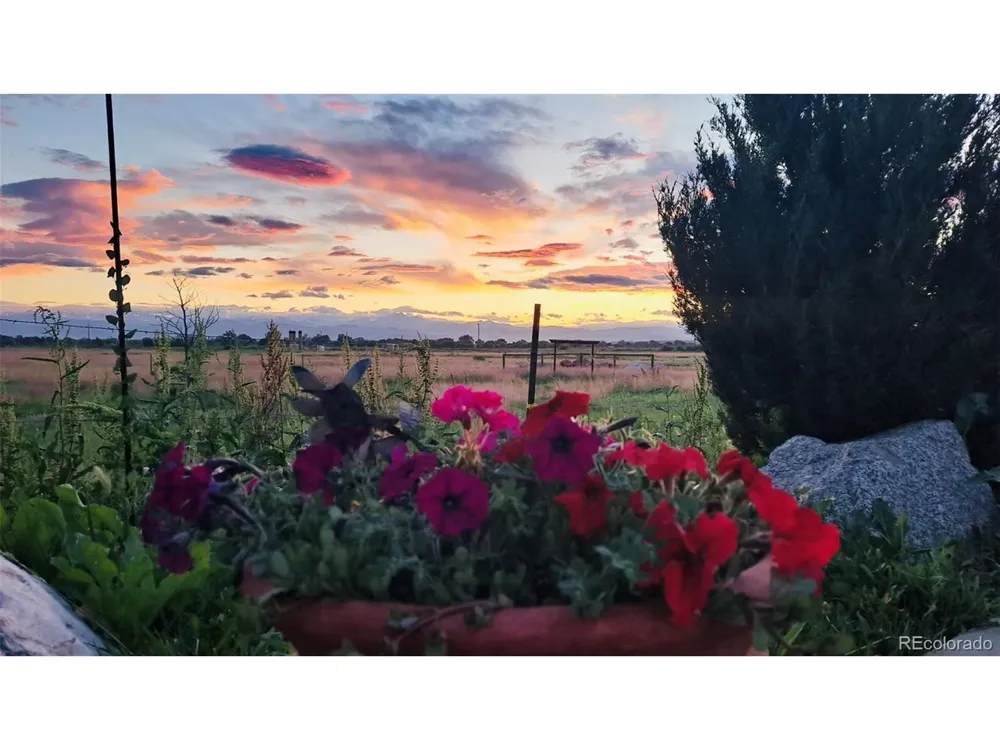2832 County Road 20 Longmont, CO 80504