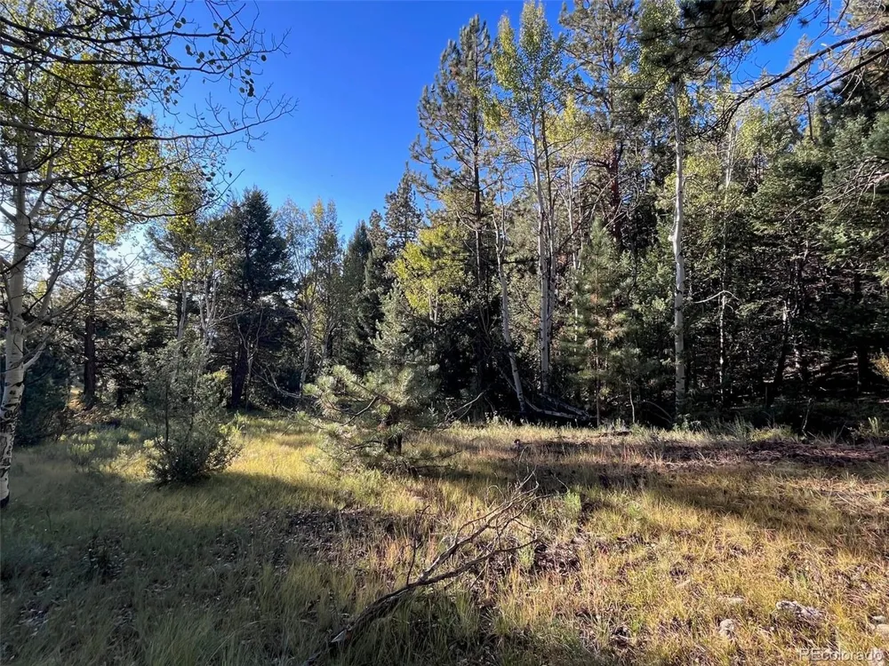 14759 Quartz Circle Salida, CO 81201