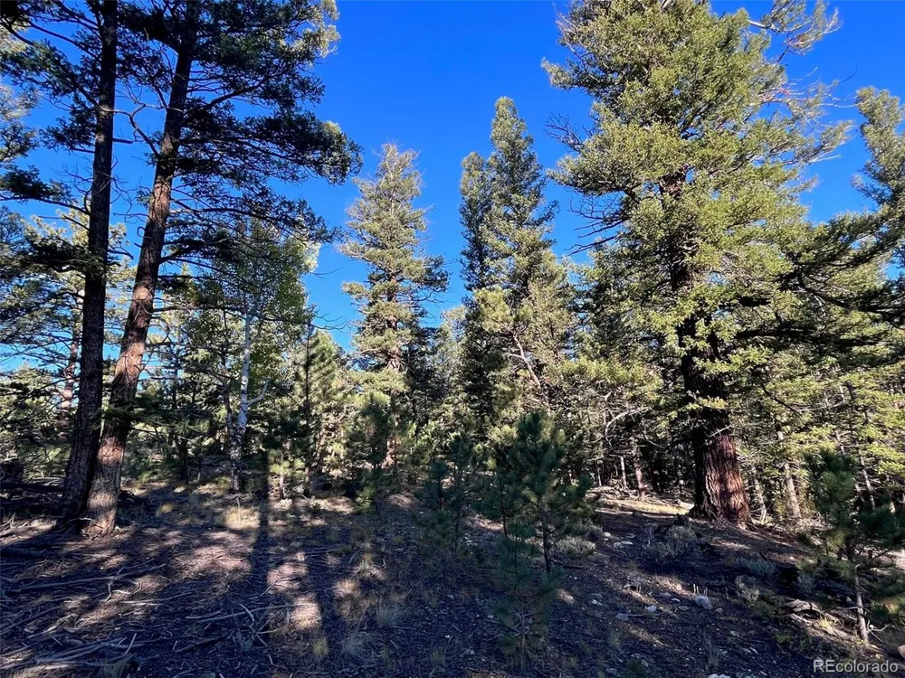 14759 Quartz Circle Salida, CO 81201