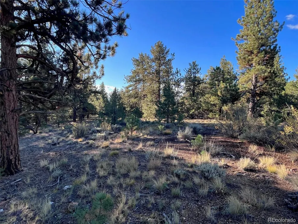 14759 Quartz Circle Salida, CO 81201