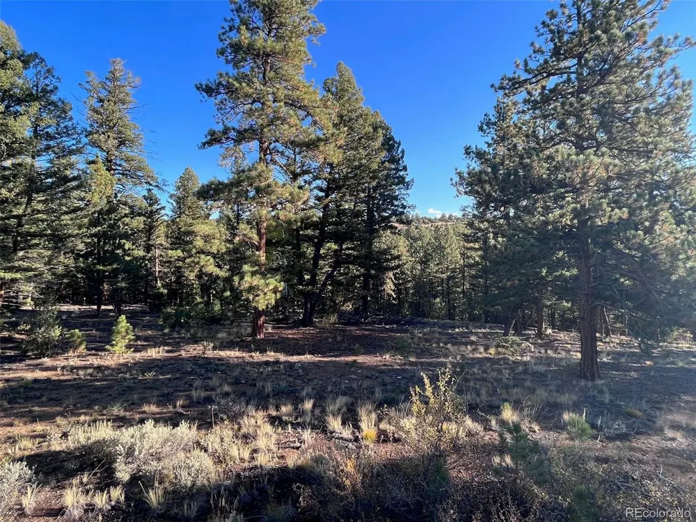 14759 Quartz Circle Salida, CO 81201