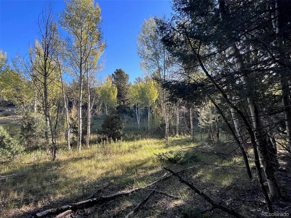 14759 Quartz Circle Salida, CO 81201