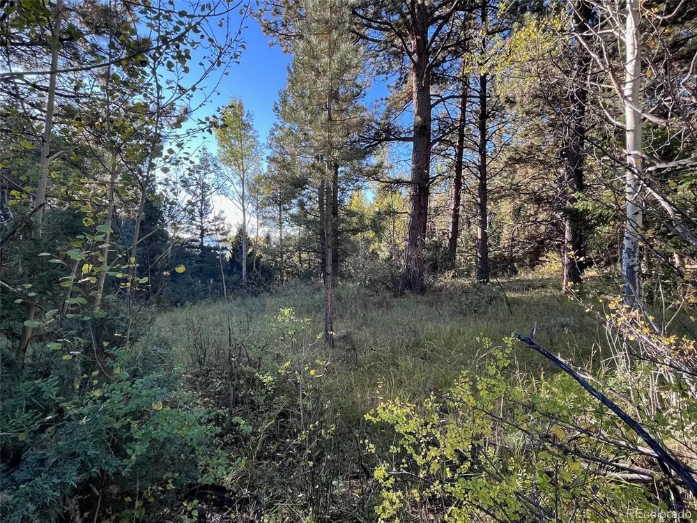14759 Quartz Circle Salida, CO 81201