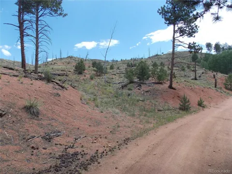 14691 Crooked Trail Road