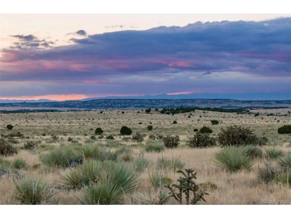 232 Turkey Ridge Ranch Walsenburg, CO 81089