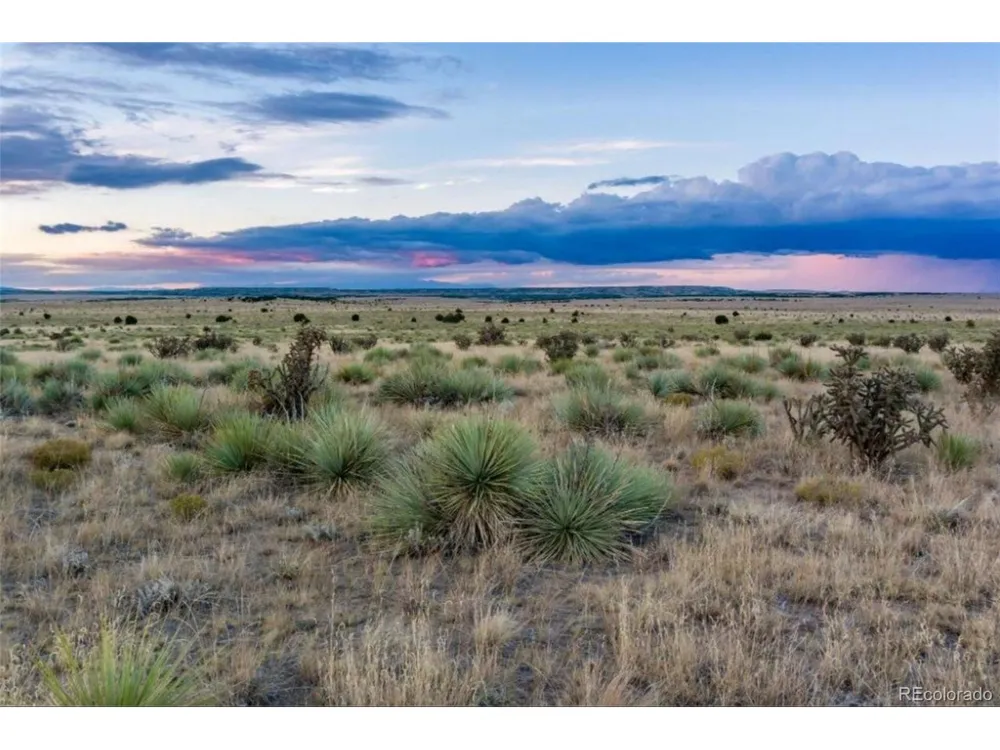 232 Turkey Ridge Ranch Walsenburg, CO 81089
