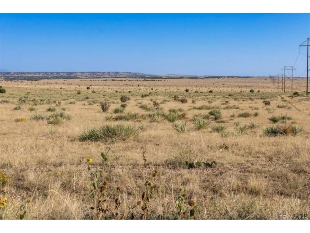 232 Turkey Ridge Ranch Walsenburg, CO 81089