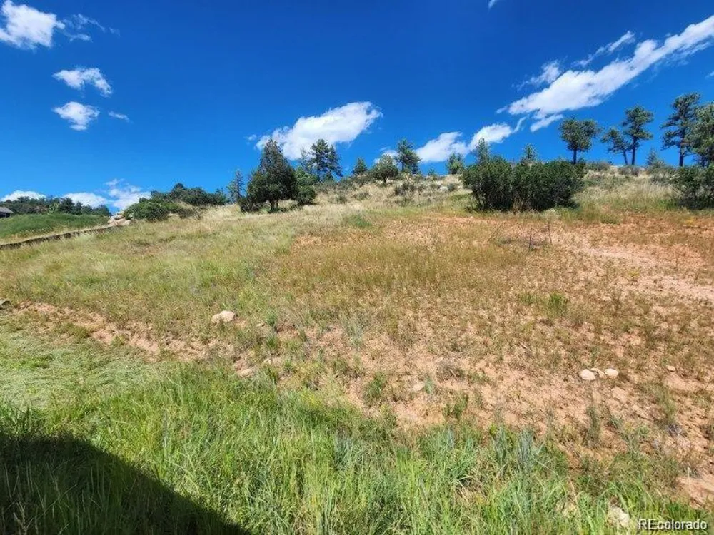 4251 Mohawk Drive Larkspur, CO 80118