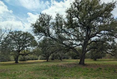 9487 Bauer Road